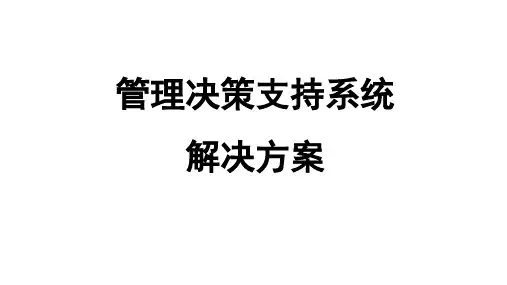 管理决策支持系统解决方案