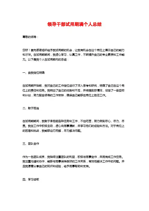领导干部试用期满个人总结
