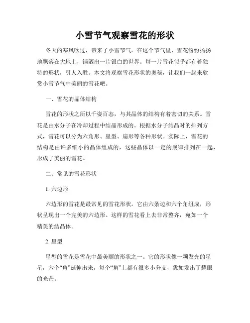 小雪节气观察雪花的形状