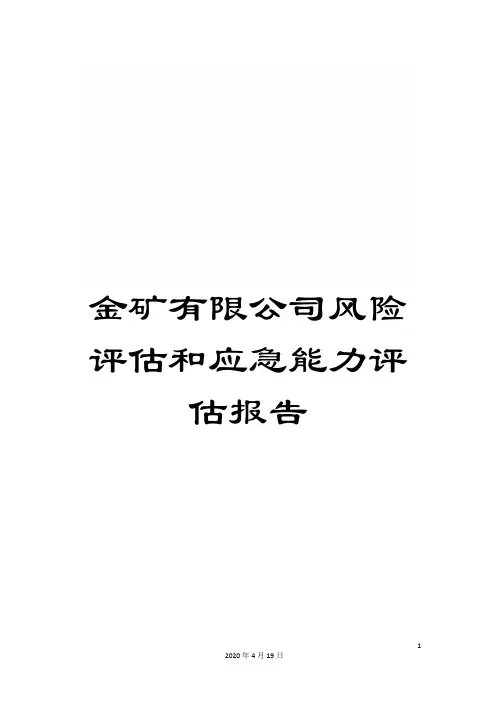 金矿有限公司风险评估和应急能力评估报告