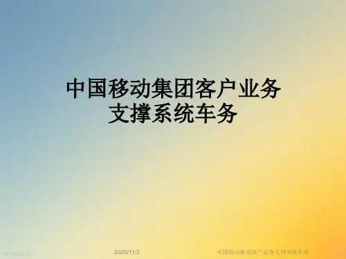 中国移动集团客户业务支撑系统车务