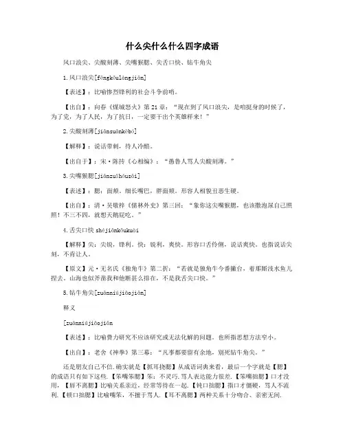 什么尖什么什么四字成语