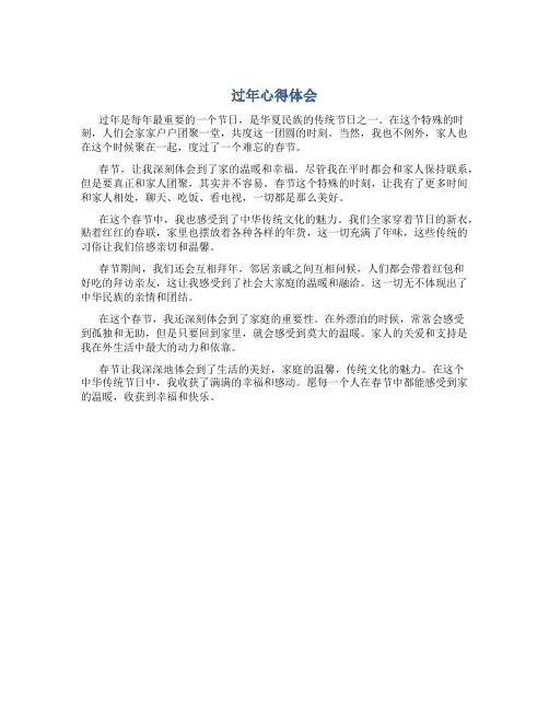 过年心得体会