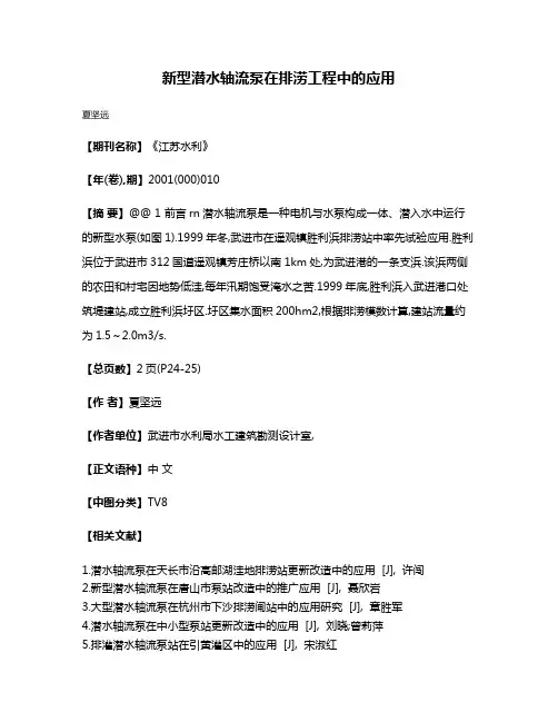 新型潜水轴流泵在排涝工程中的应用