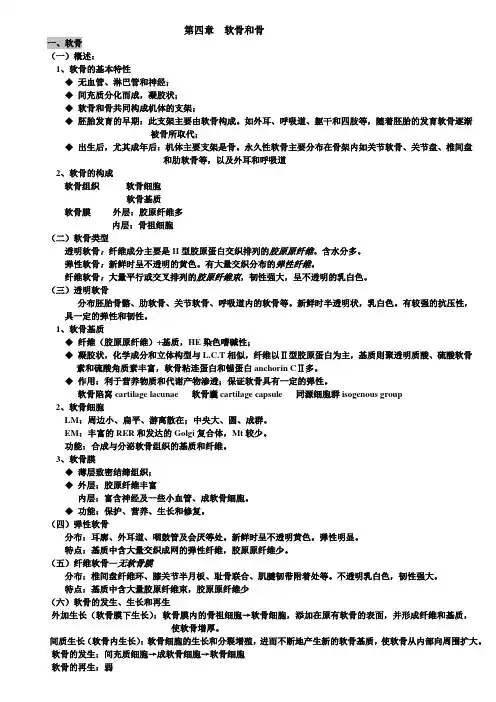 第四章软骨和骨