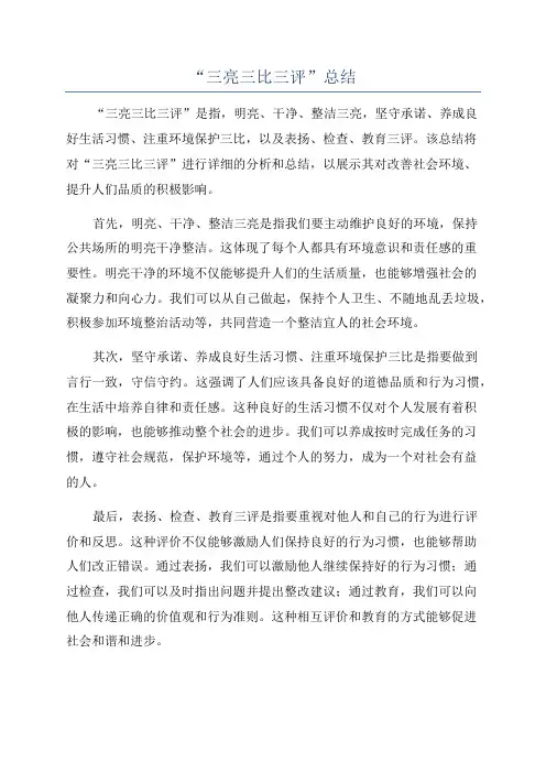 “三亮三比三评”总结