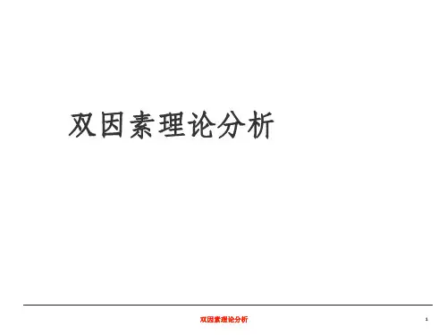 双因素理论分析ppt课件