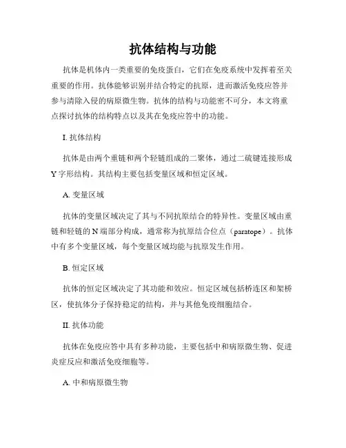 抗体结构与功能