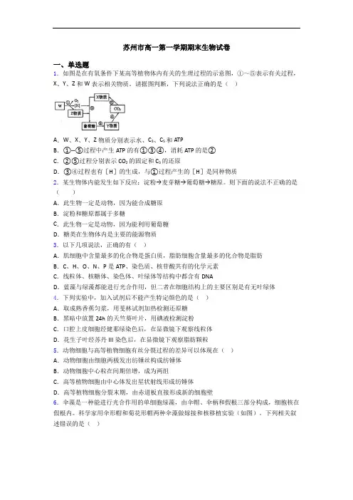 苏州市高一第一学期期末生物试卷