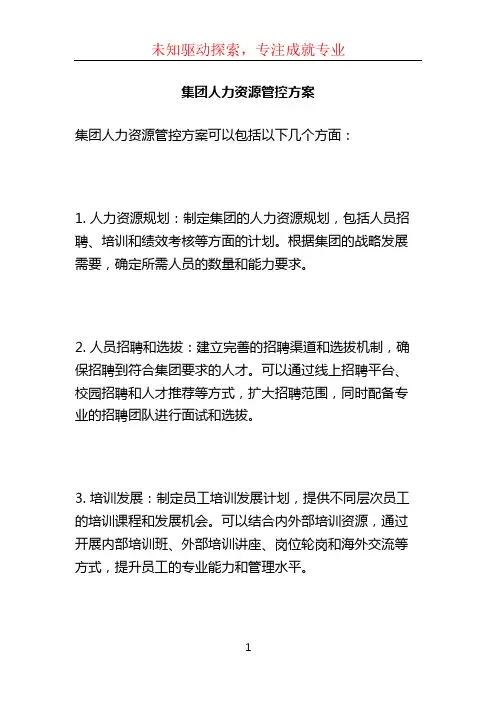 集团人力资源管控方案