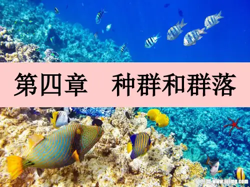 人教版生物必修三4.1《种群的特征》课件PPT(共30页)