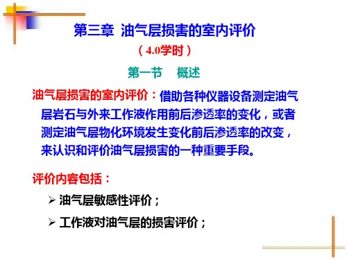 第三章-油气层损害的室内评价