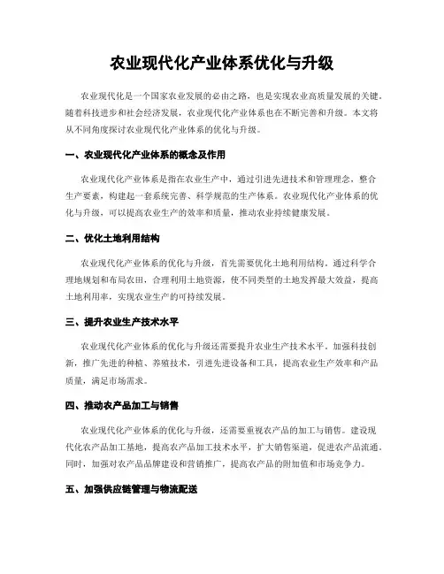 农业现代化产业体系优化与升级