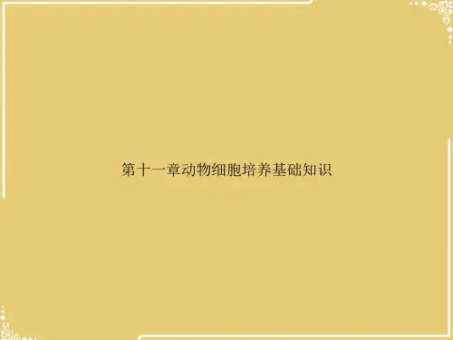 第十一章动物细胞培养基础知识【共36张PPT】