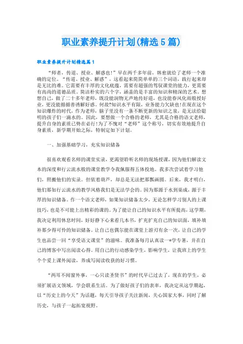 职业素养提升计划(精选5篇)