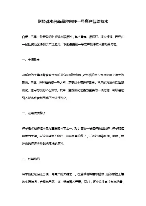 耐盐碱水稻新品种白粳一号高产栽培技术