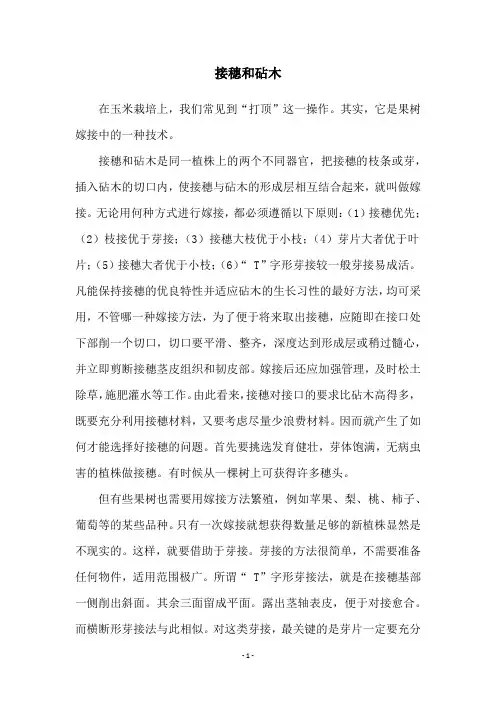 接穗和砧木