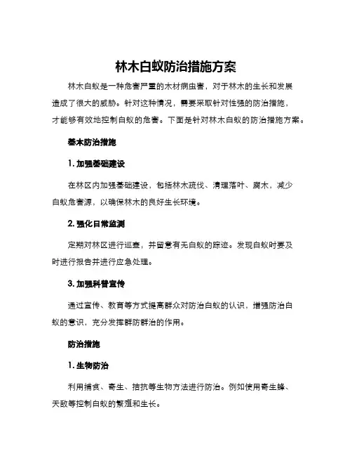 林木白蚁防治措施方案