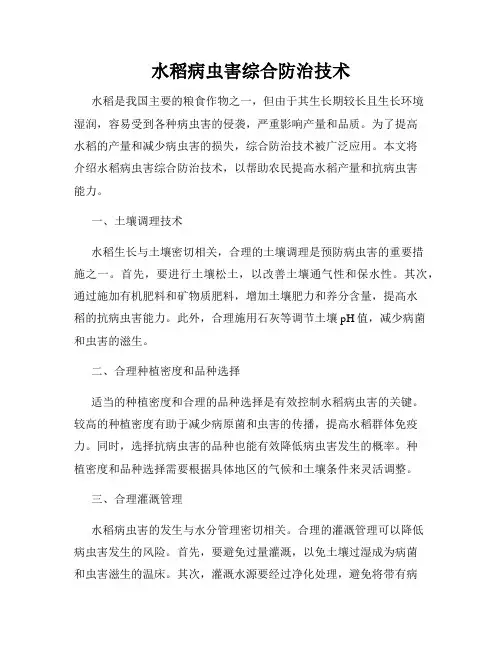 水稻病虫害综合防治技术