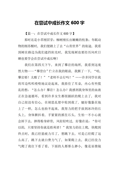 在尝试中成长作文600字