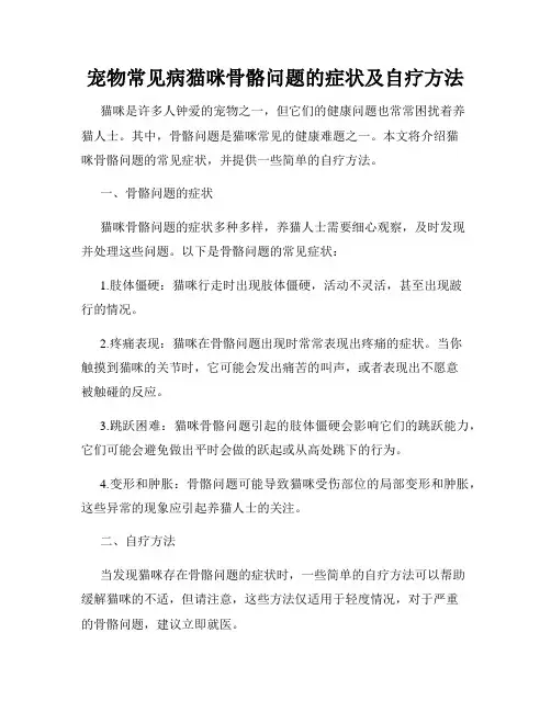 宠物常见病猫咪骨骼问题的症状及自疗方法