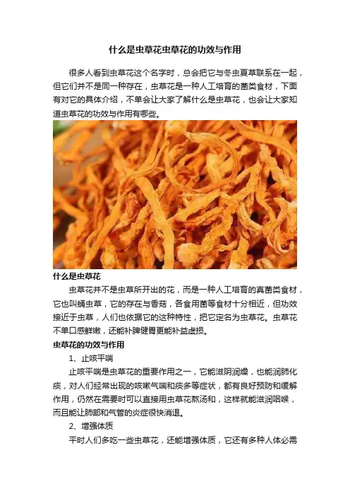 什么是虫草花虫草花的功效与作用