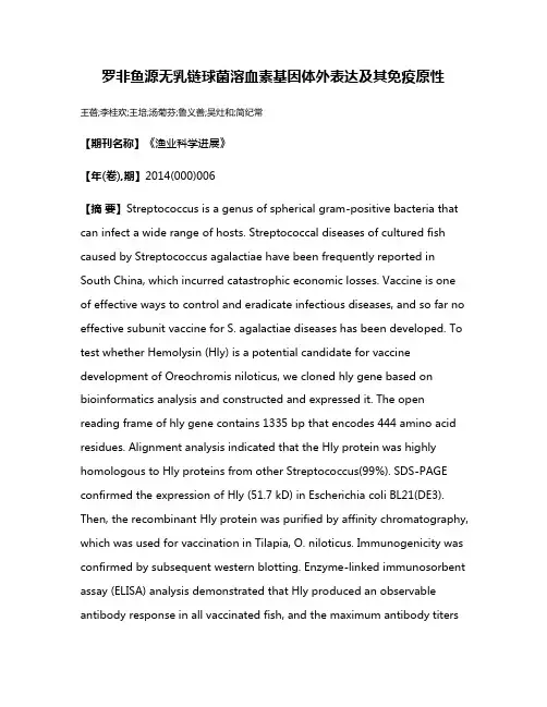 罗非鱼源无乳链球菌溶血素基因体外表达及其免疫原性