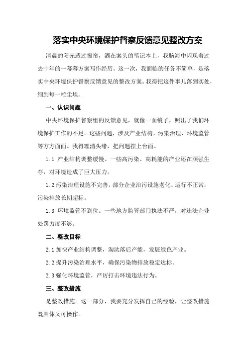 落实中央环境保护督察反馈意见整改方案