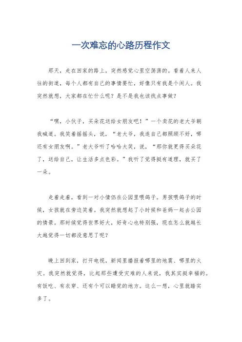一次难忘的心路历程作文