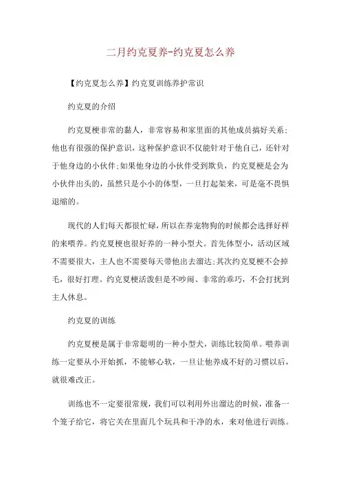 二月约克夏养-约克夏怎么养