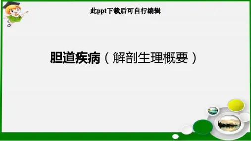 胆道疾病解剖生理概要ppt课件