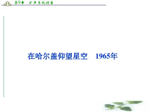 高二(语文)语文选修中外现代诗歌欣赏课件：第四单元在哈尔盖仰望星空 1965