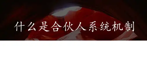 什么是合伙人模式 ppt课件