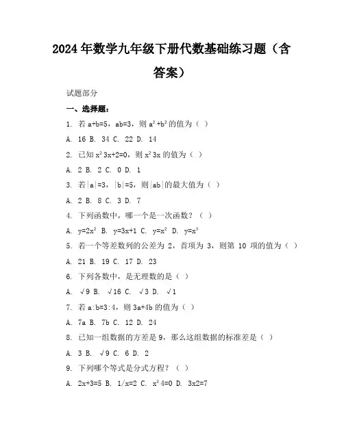 2024年数学九年级下册代数基础练习题(含答案)