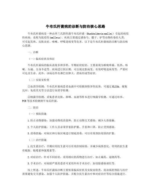 牛布氏杆菌病的诊断与防治核心思路