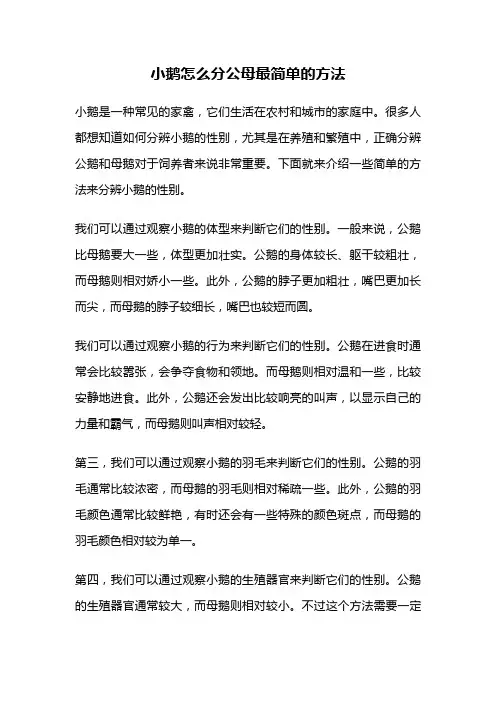 小鹅怎么分公母最简单的方法