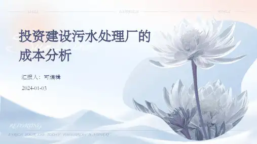 投资建设污水处理厂的成本分析