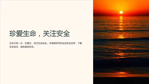 初中班会主题课件：珍爱生命,关注安全