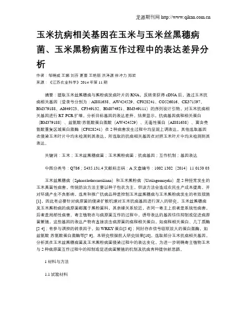 玉米抗病相关基因在玉米与玉米丝黑穗病菌、玉米黑粉病菌互作过程