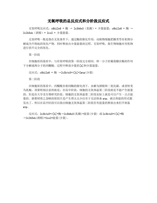 无氧呼吸的总反应式和分阶段反应式