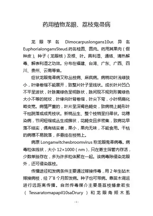 药用植物龙眼、荔枝鬼帚病