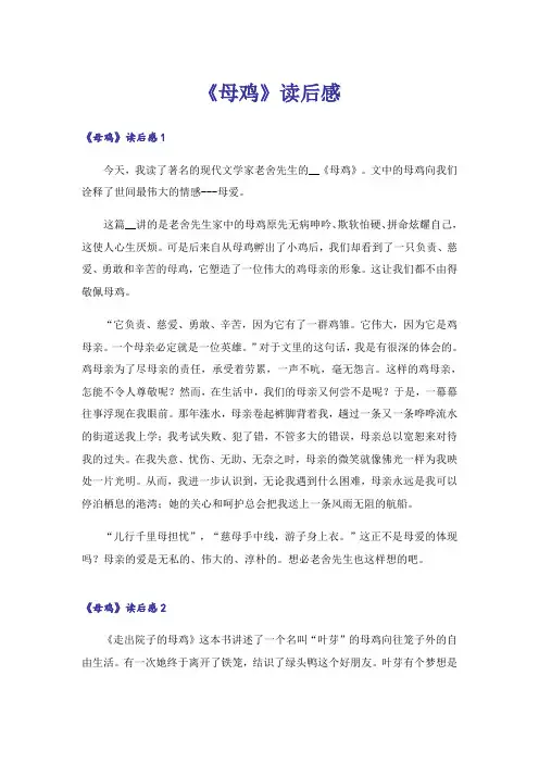 《母鸡》读后感