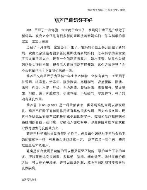 葫芦巴催奶好不好