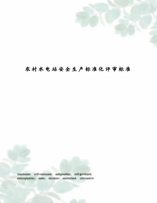 农村水电站安全生产标准化评审标准