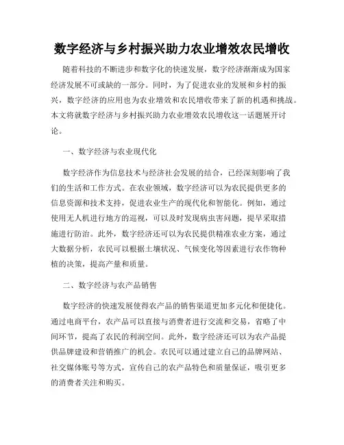 数字经济与乡村振兴助力农业增效农民增收