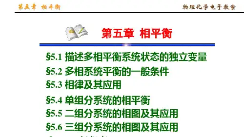 物理化学电子教案.ppt