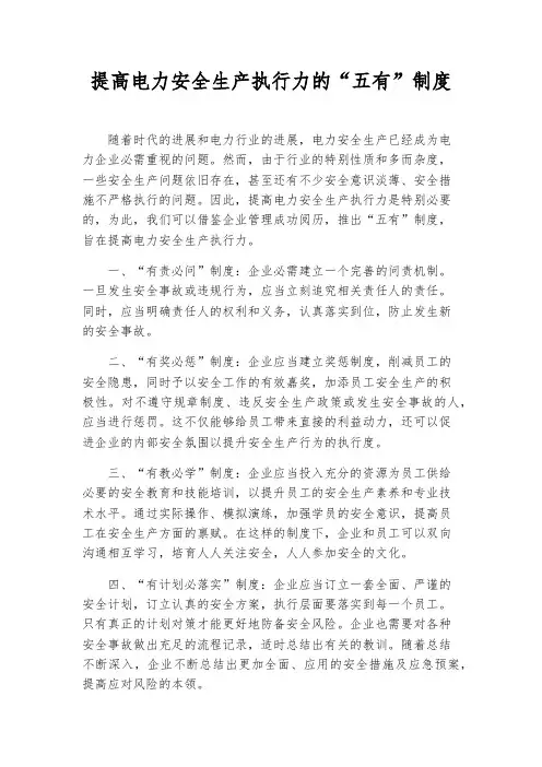 提高电力安全生产执行力的“五有”制度