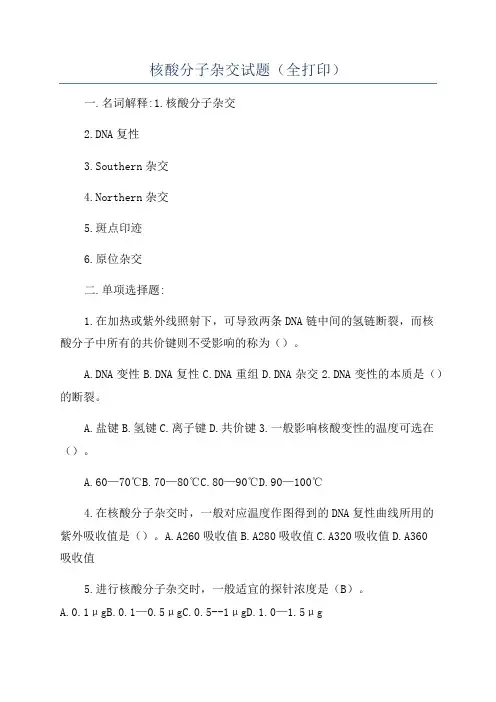 核酸分子杂交试题(全打印)