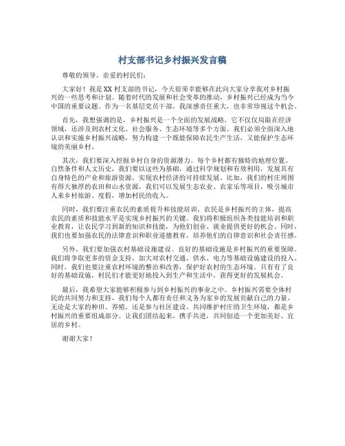 村支部书记乡村振兴发言稿