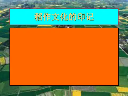 人教版七年级历史与社会上册3.《稻作文化的印记》(共16张PPT)